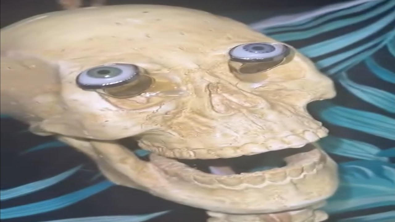 RANDOM MEMES COMPILATION V72