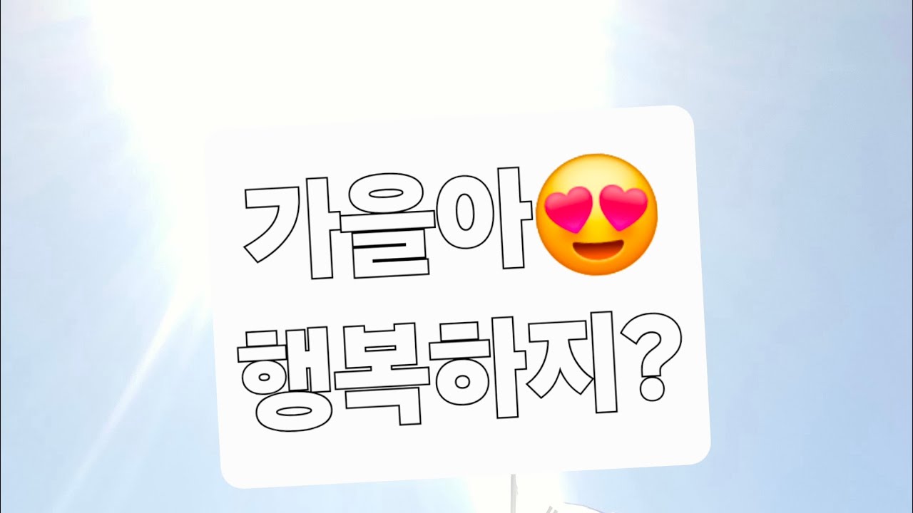가을이와🐶 발왕산 가는 길 산책로 . 반려 드론 DJI NEO2도🚁 같이 감