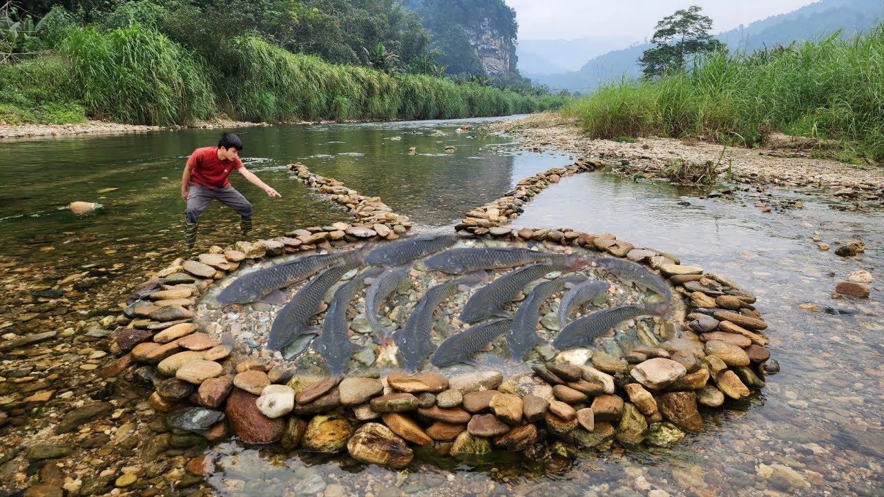 The boy used stones from the stream, stacking them together to create a unique fish trap.