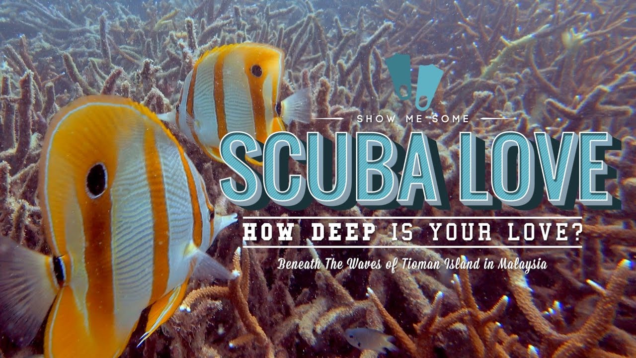 Tioman 4K Scuba Diving Adventure | Sony Action Cam FDR-X3000
