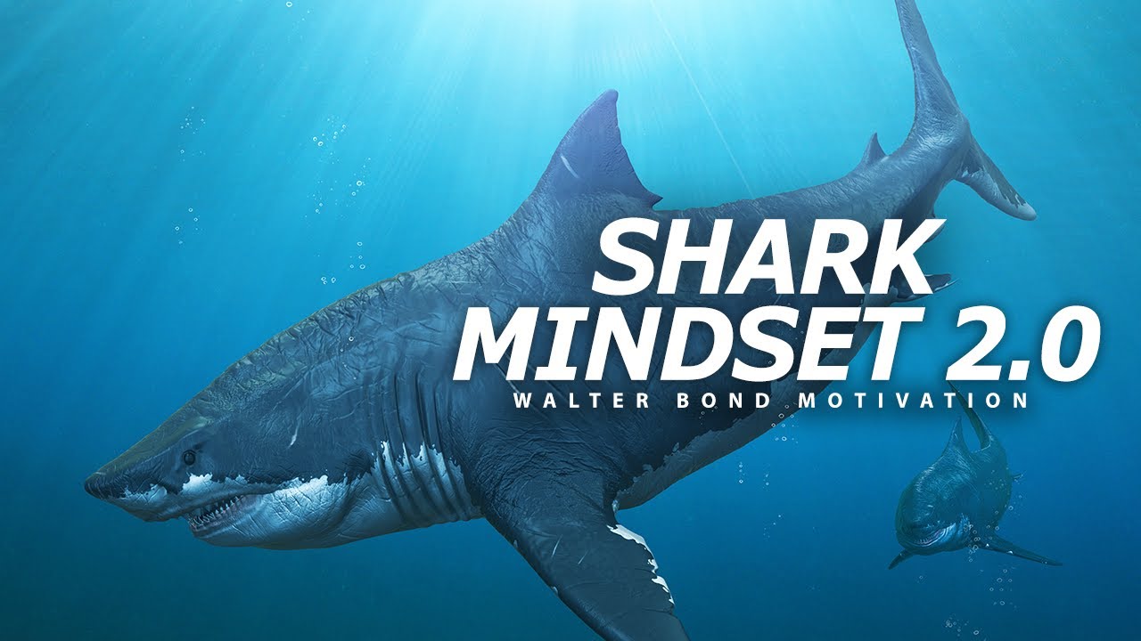 SHARK MINDSET - PART 2  | One of the Best Speeches Ever by Walter Bond