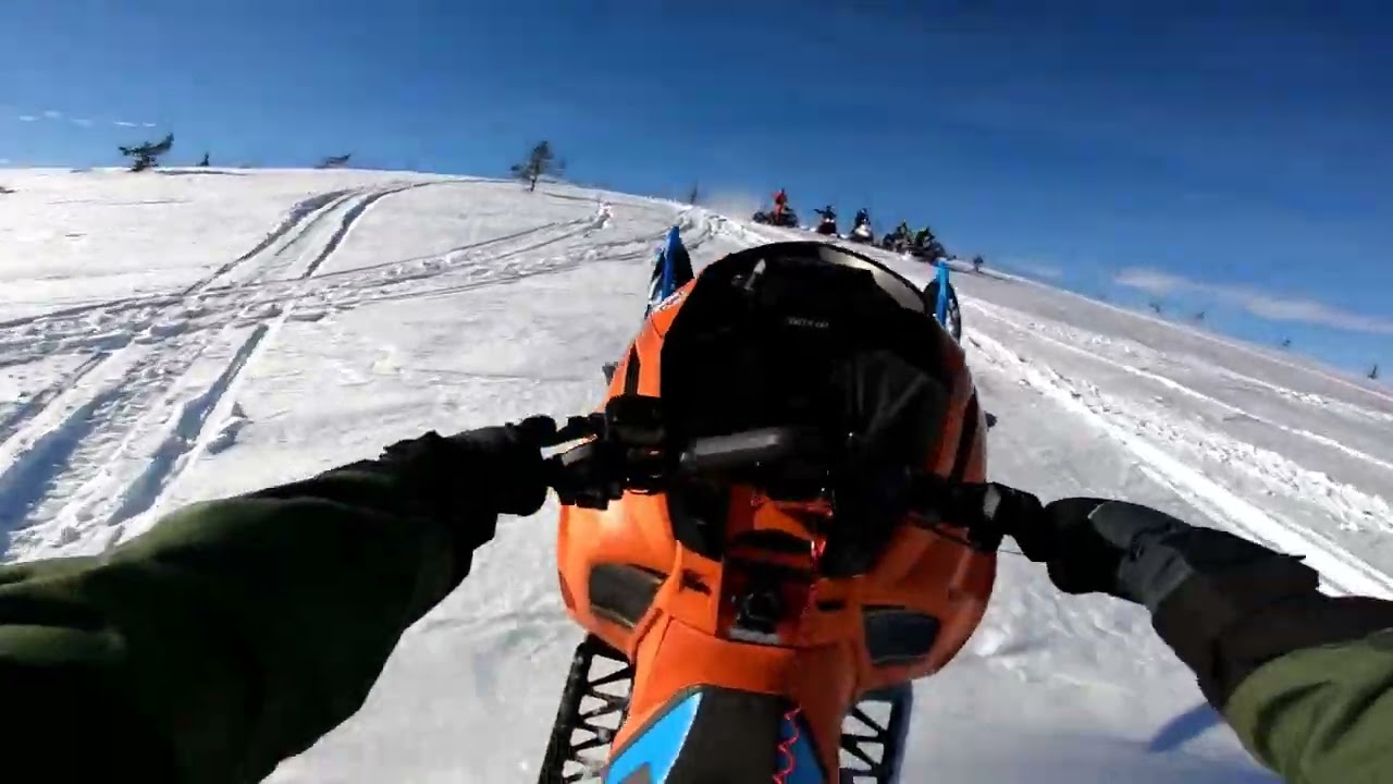 Spring Edit Sälen | Alpha Riot