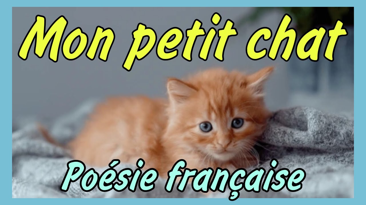 MON PETIT CHAT / poésie française