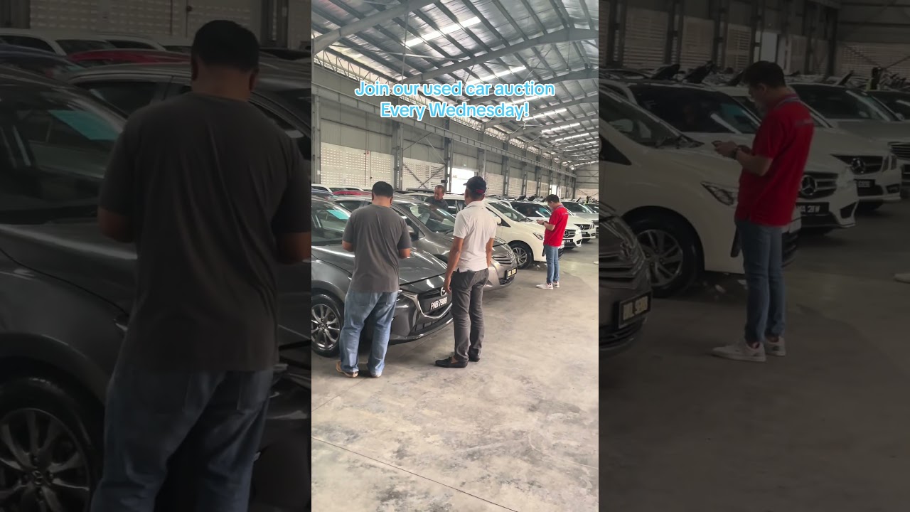 Used Car Auction!
