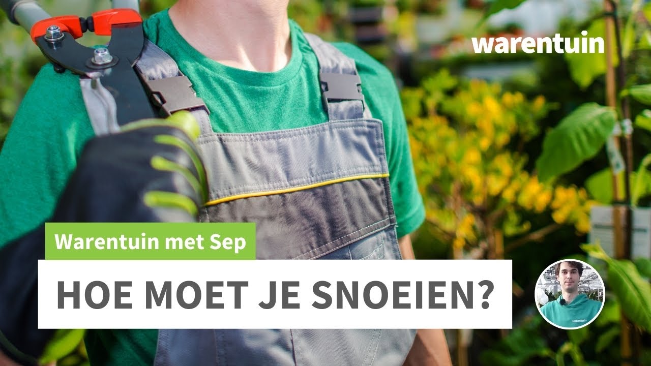Hoe moet je snoeien?