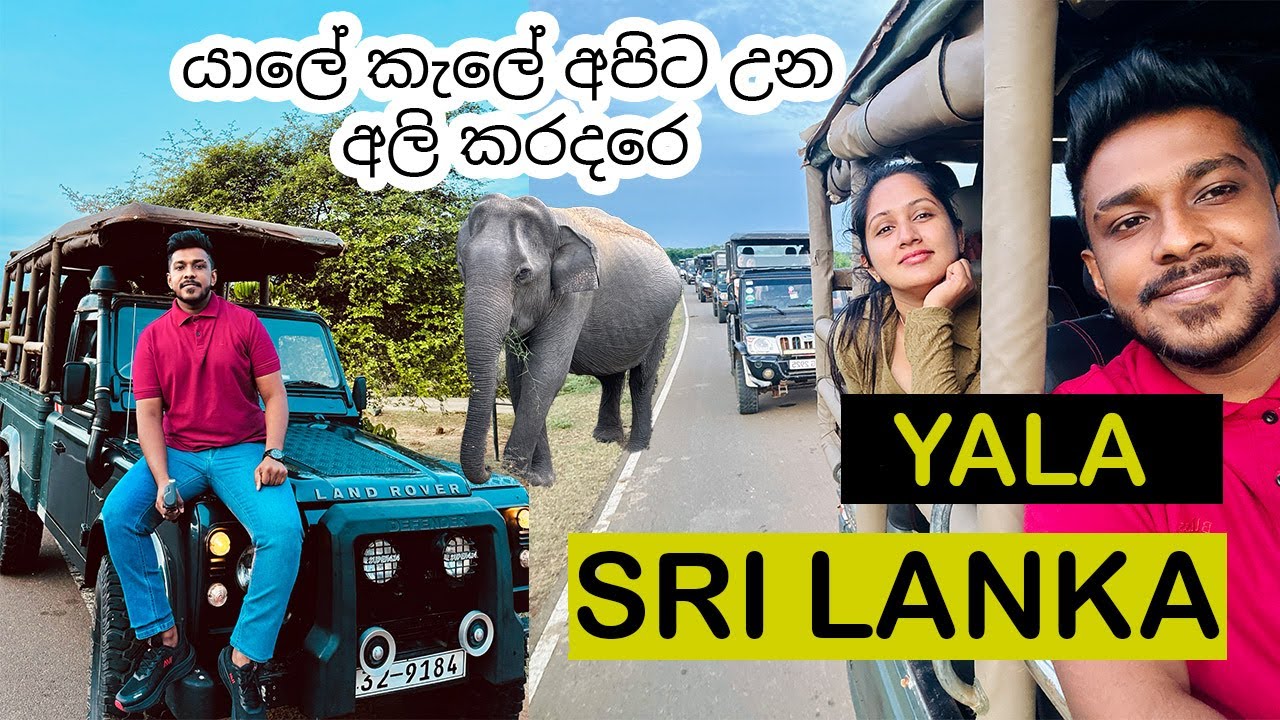 Spotting Leopards & Wildlife In Sri Lanka | Untamed Beauty Yala National Park Safari Sri Lanka