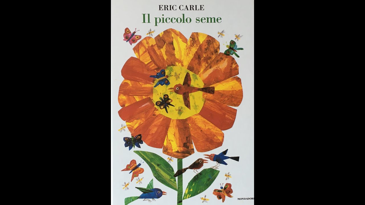 il piccolo seme