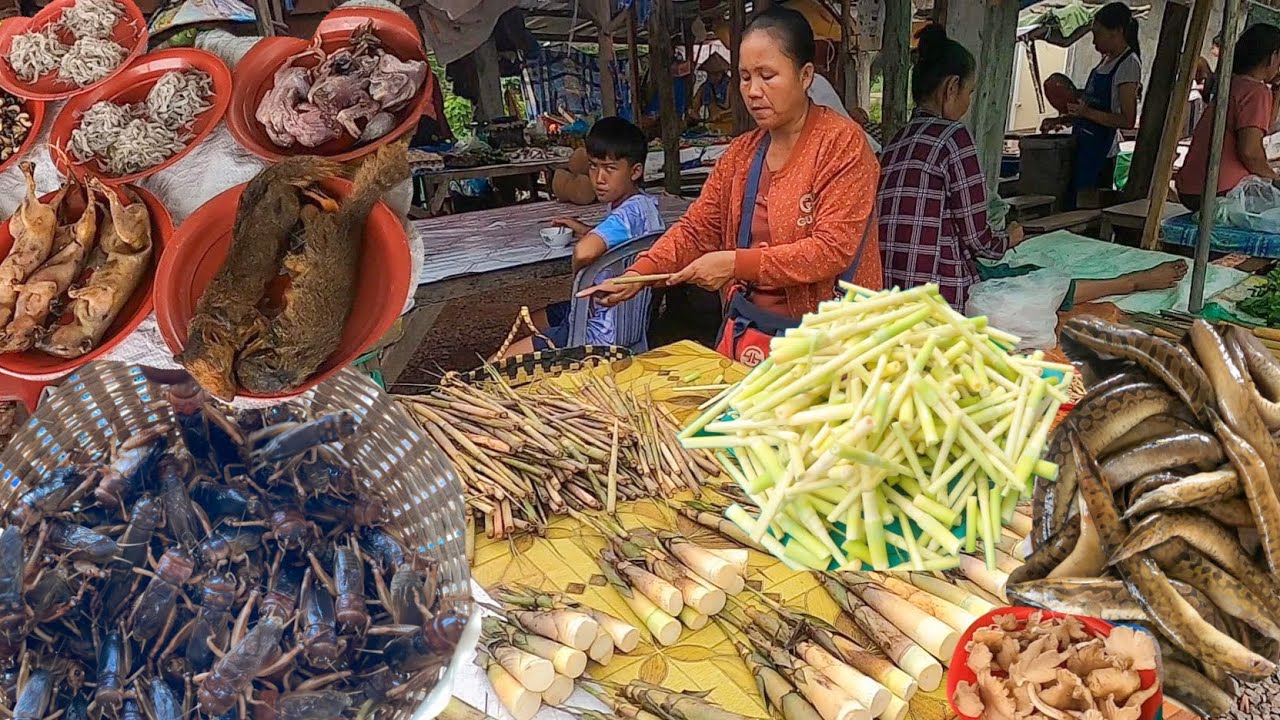 ตลาดของป่า เมืองท่าแขก สปป.ลาว แมงจิหล่อ กะปูแดง หน่อไม้กะแสน อาหารลาว แนวแซ่บหลายคัก