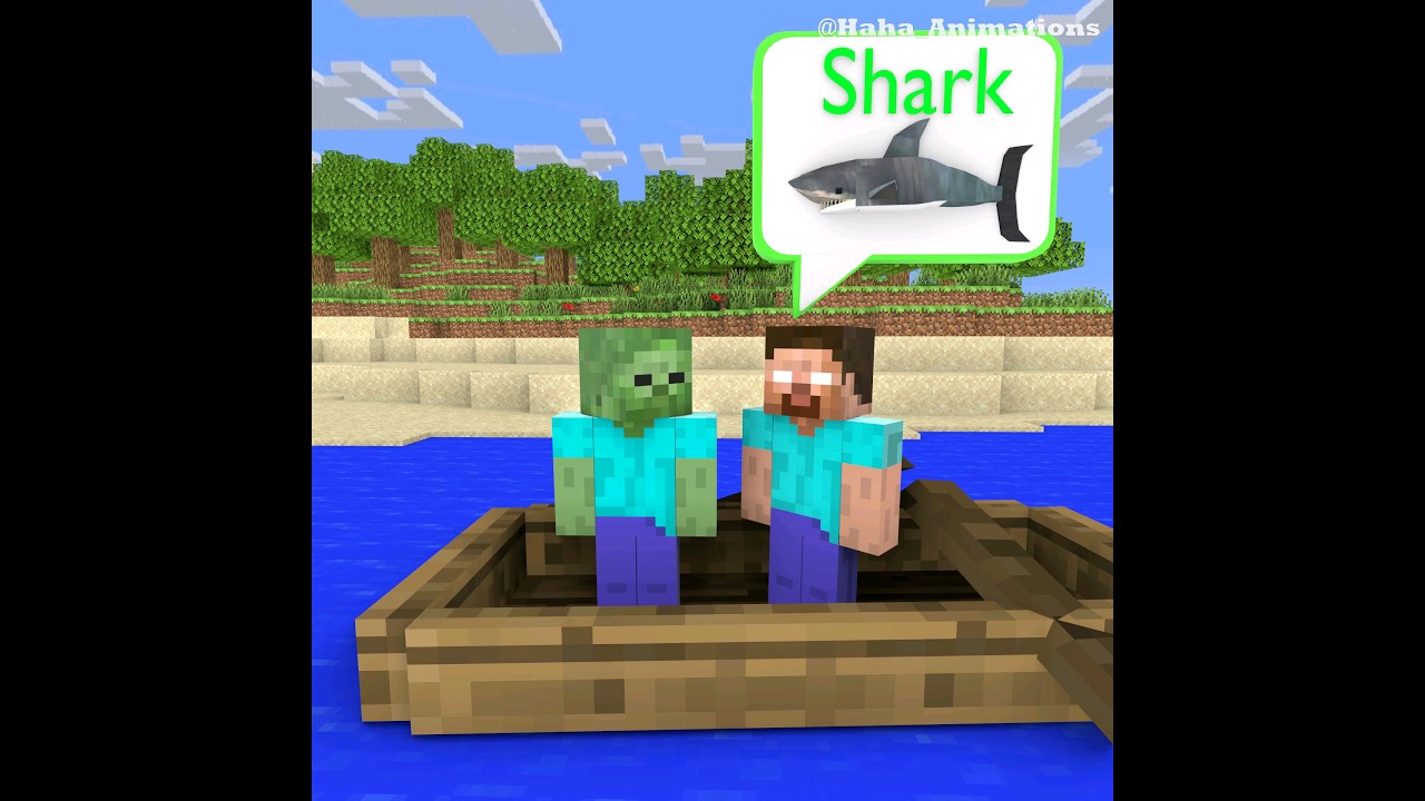 Whale Or Shark Debate
