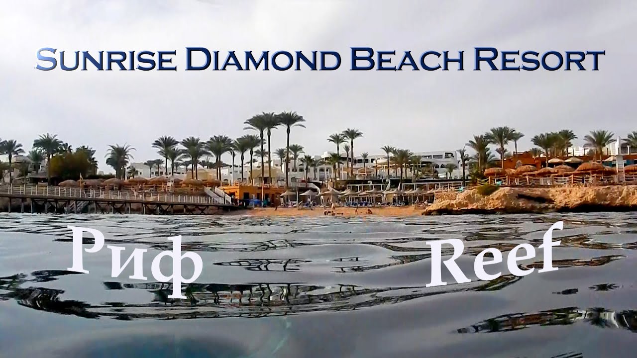 Риф отеля Санрайз даймонд бич резорт, подводный мир, мурена, Sunrise Diamond Beach Resort reef