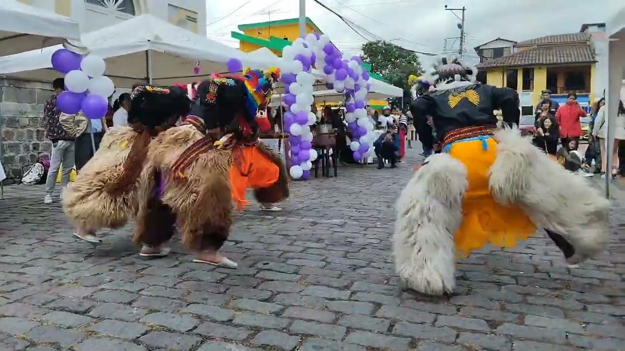 AYA HUMA inti Raymi