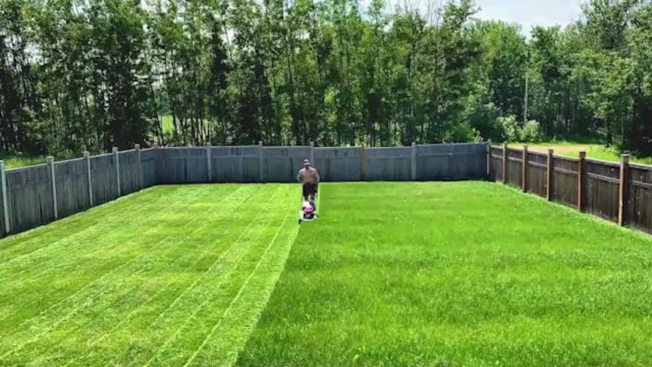 Oddly Satisfying Lawn Care  | Overgrown Lawn Makeover (That are worth seeing)