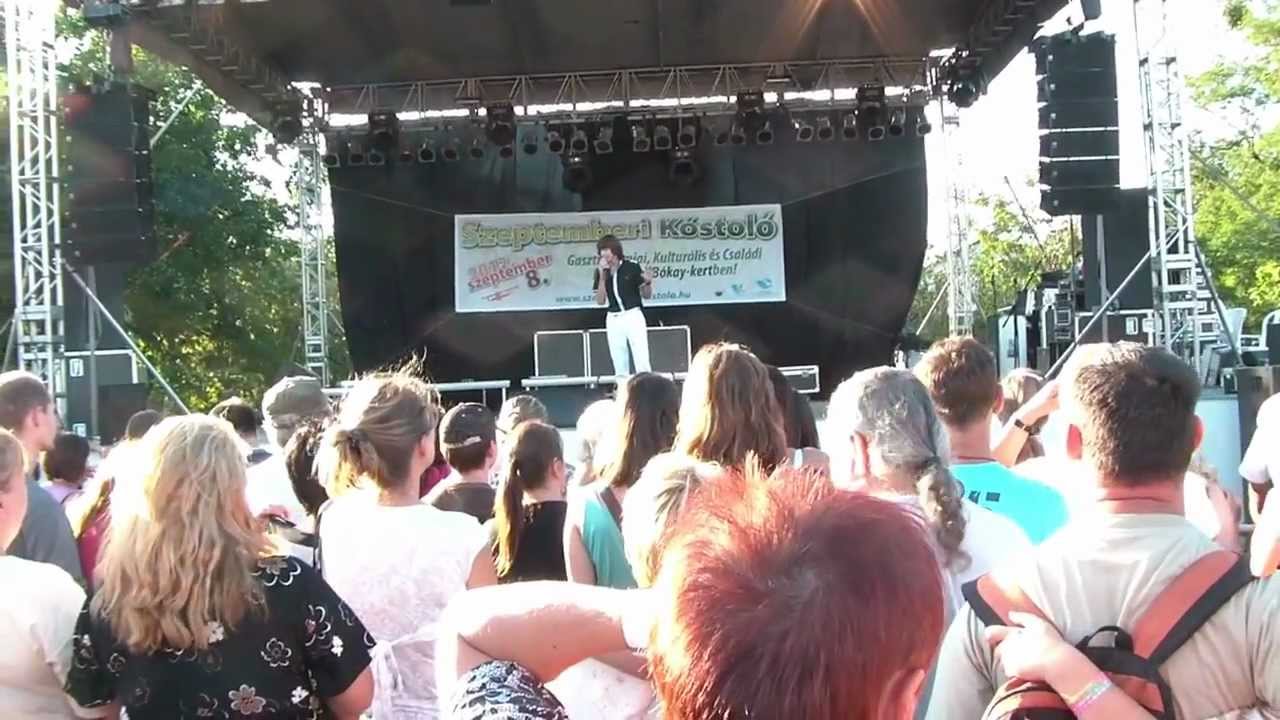 László Attila - Hangulatok egy koncerten