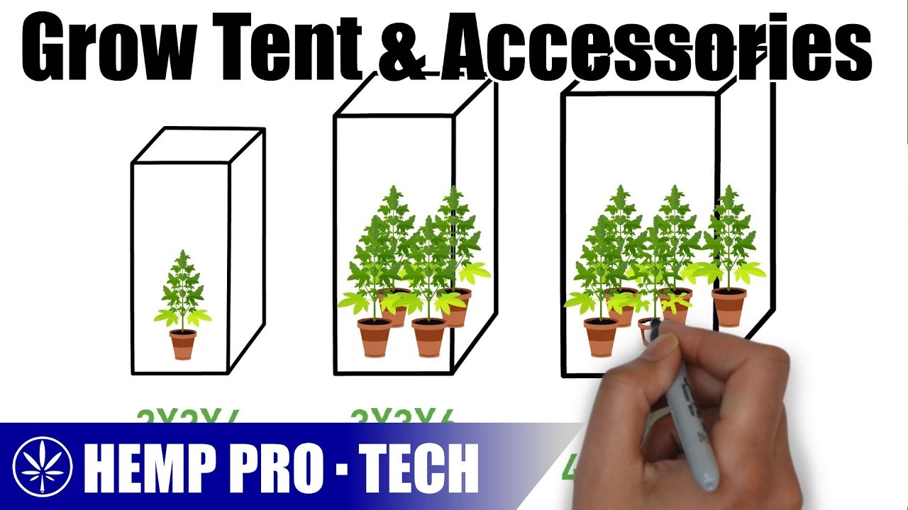 Grow Tent & Accessories You Need For An Indoor Setup