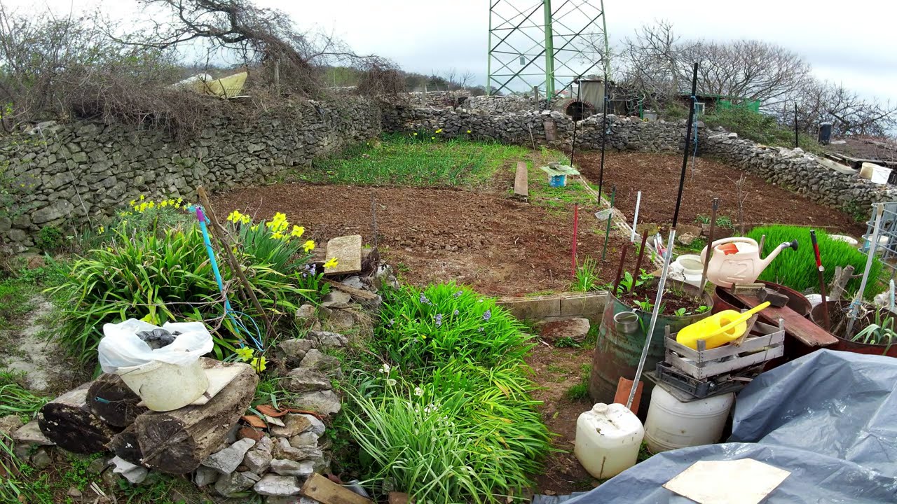 Time lapse 8.3.2026 - 15.3.2026
