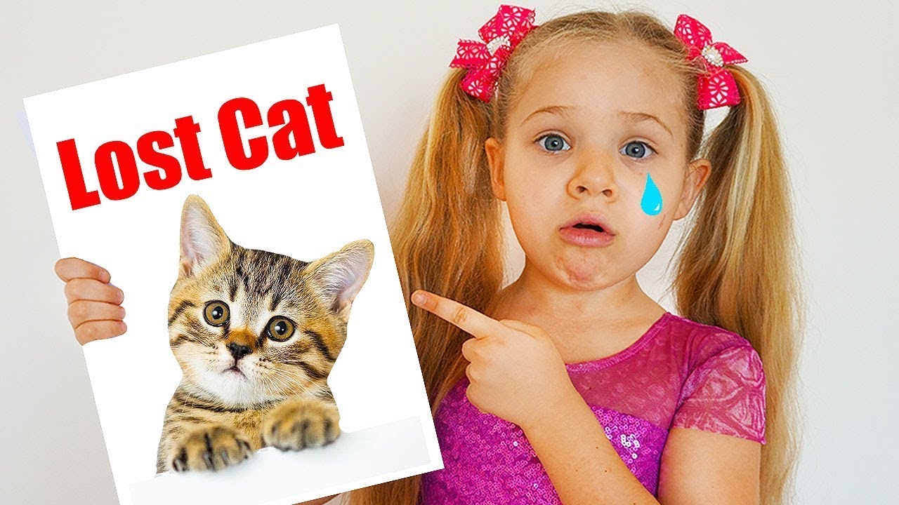 Diana perde seu gatinho & outras histórias de gatinhos
