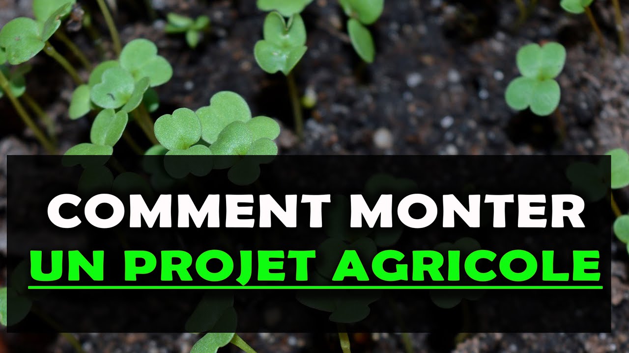 COMMENT MONTER UN PROJET AGRICOLE