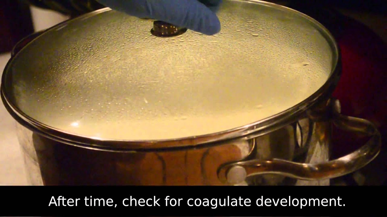 Cheese Making 101