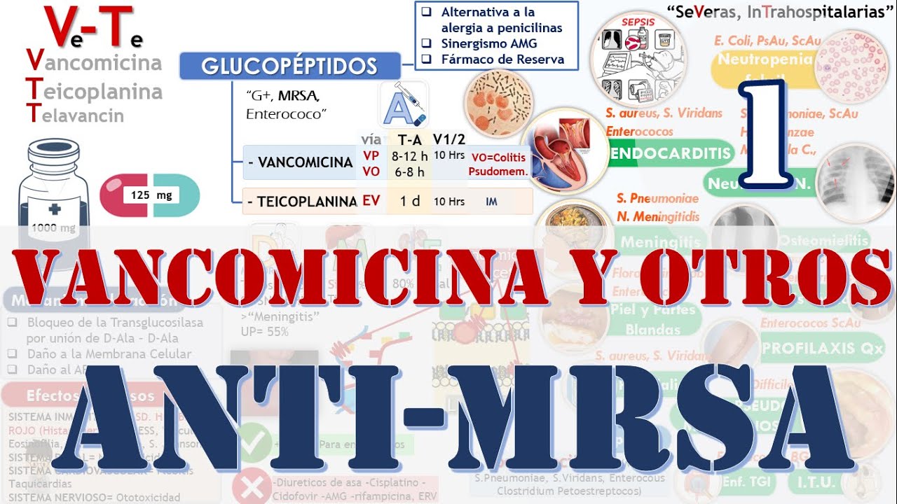VANCOMICINA, BACITRACINA, FOSFOMICINA, CICLOSERINA - Anti-MRSA - (Glucopeptidos 1 Fármacos)
