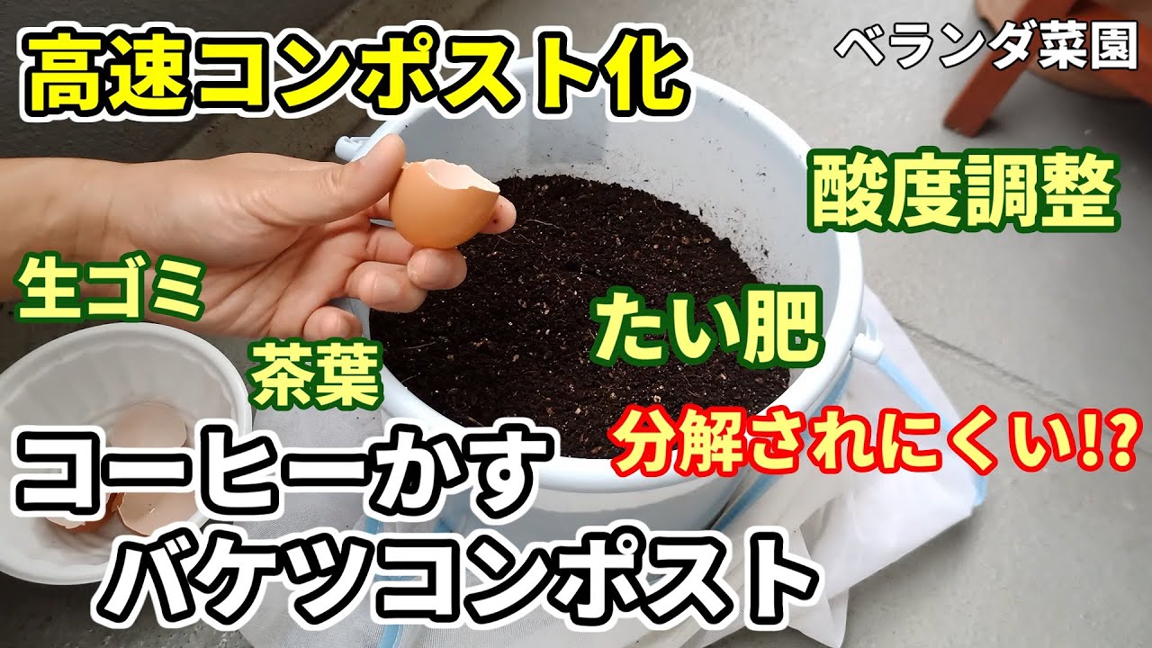 【ベランダ菜園】コーヒーかすを肥料にするメリット・注意点【バケツコンポスト】