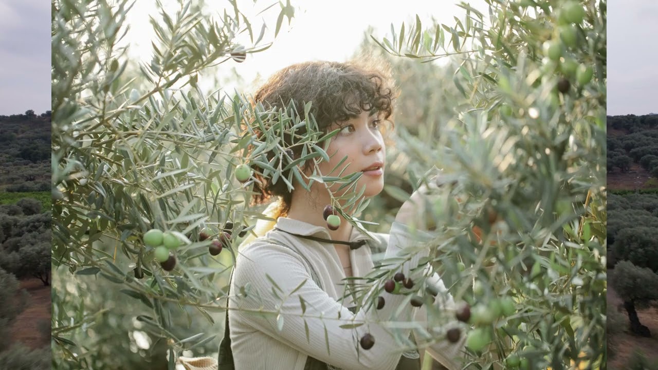 Why olive trees take so long to produce fruit