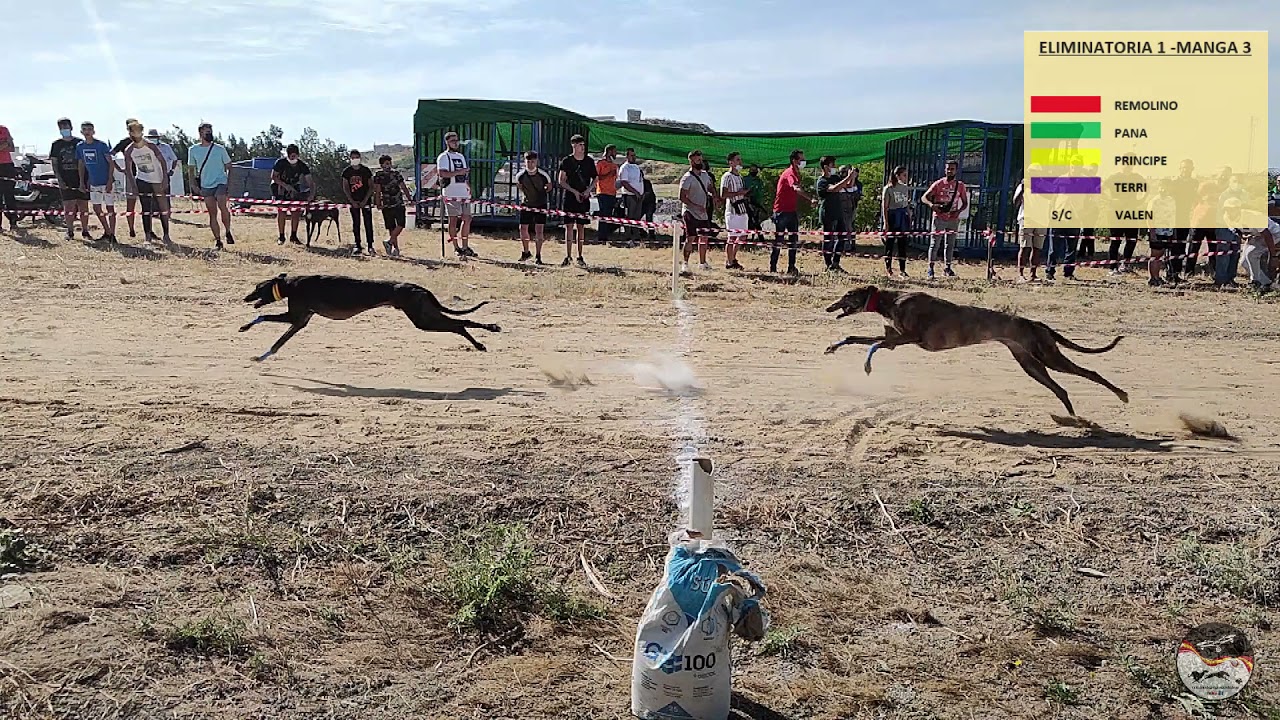 CAMPEONATO DE RECTA 500 METROS EN LEBRIJA, 6 MANGAS 29-5-2021