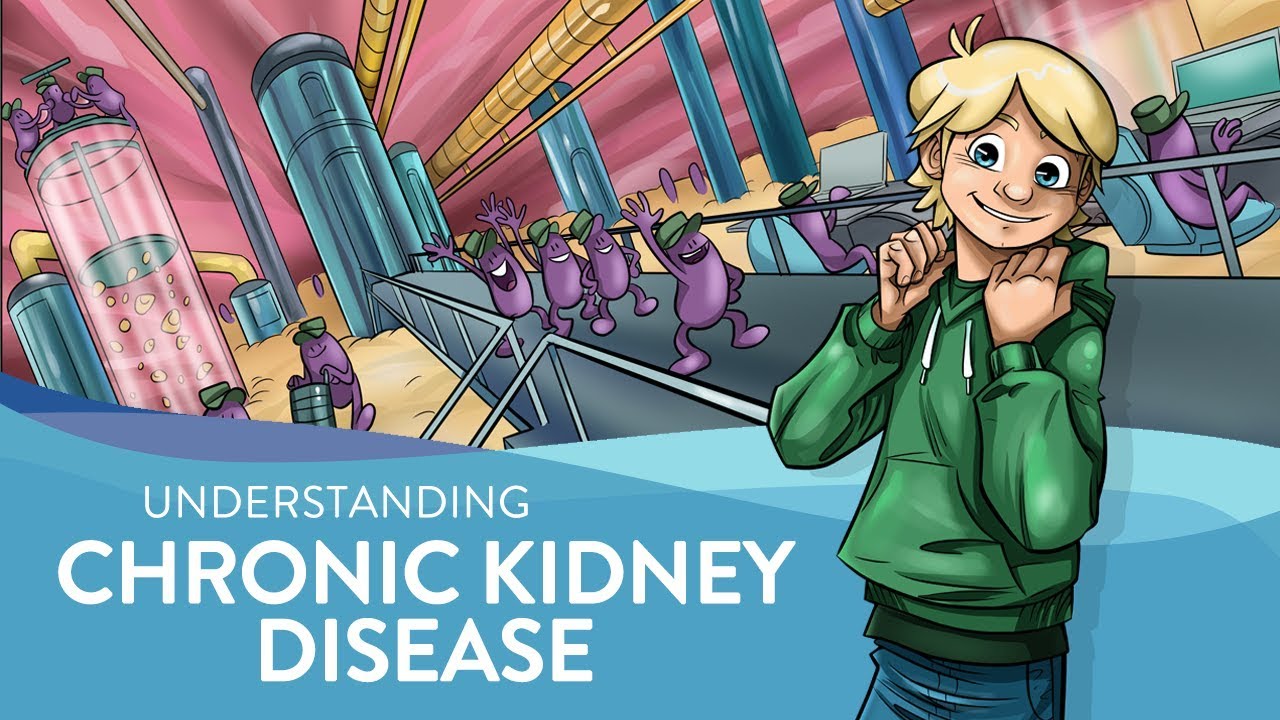 Understanding chronic kidney disease