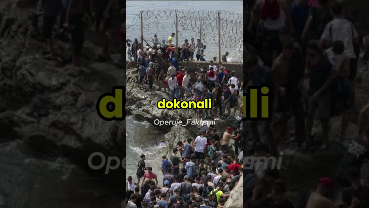 Cejrowski: Co zrobić z nielegalnymi imigrantami?