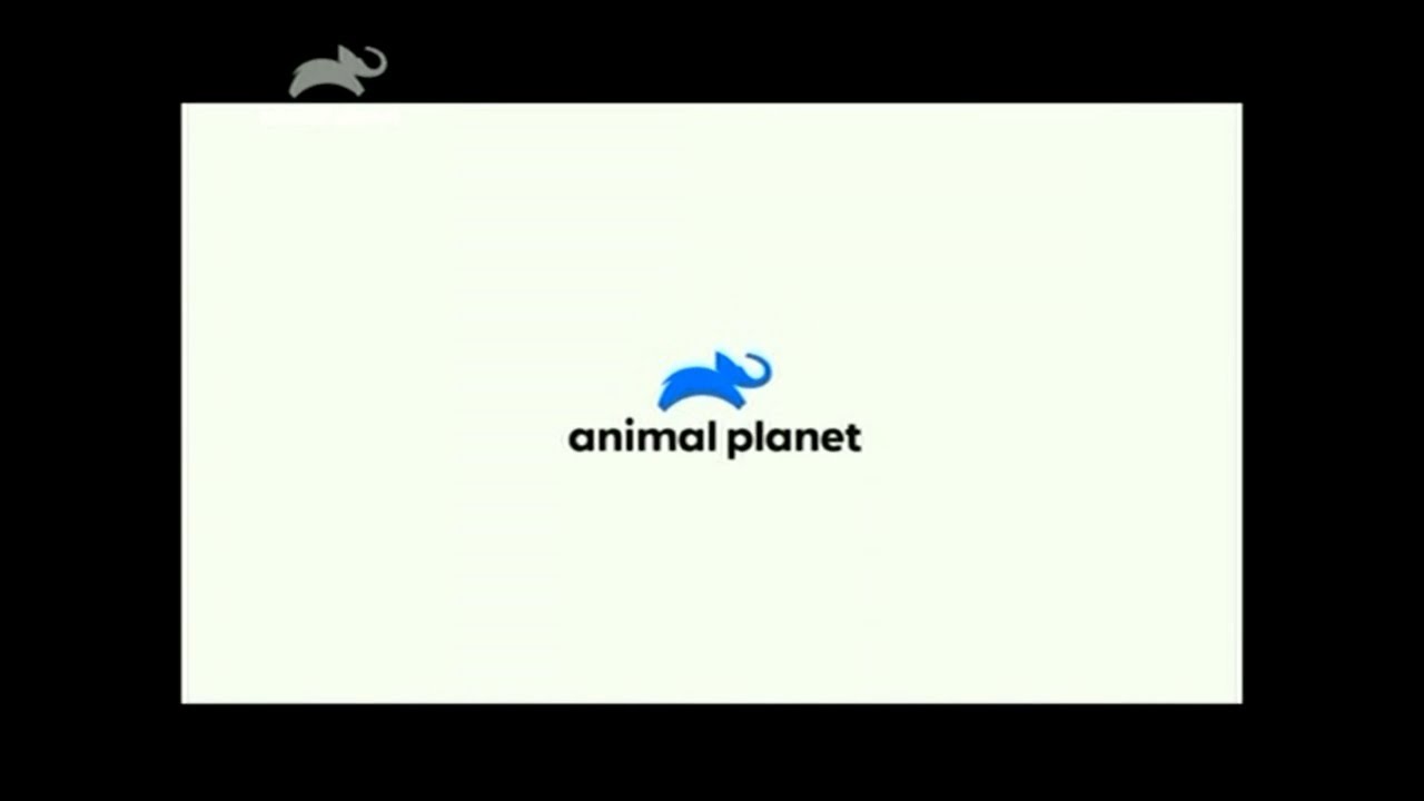 Animal Planet Latinoamérica - Gráficas (2019-presente)