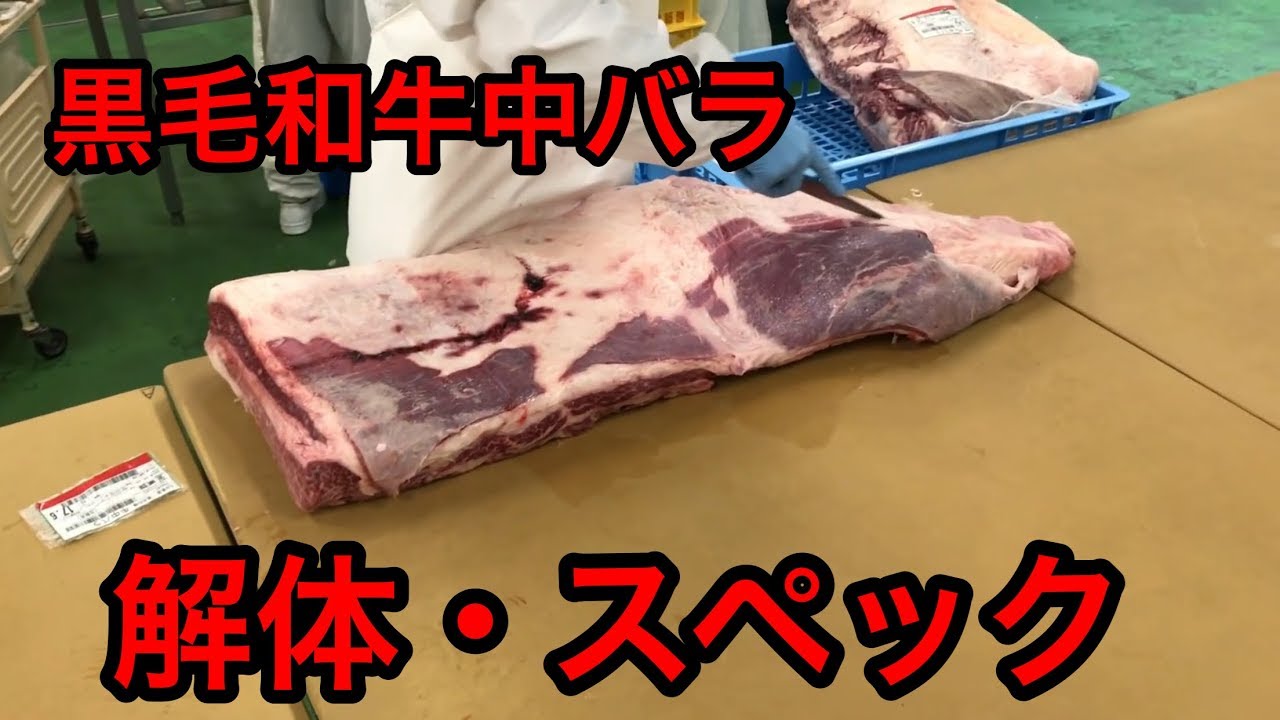職人技 黒毛和牛中バラ 前編 解体 スペック 商品化 プロカット