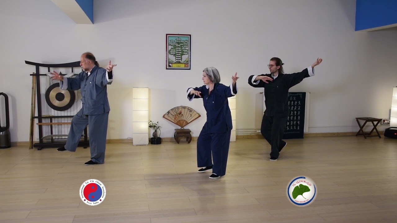 Imparare la Forma di Tai Chi a 85 anni d'età online