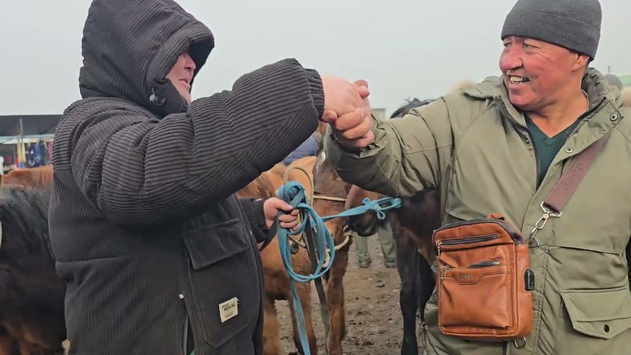 Жылкы базарда портер сода болду 😀 1 феврал 2026 #жылкыбазар 
