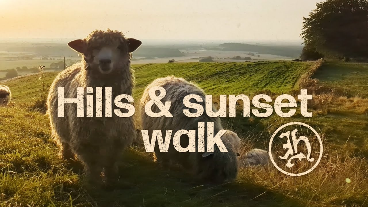 Relaxing virtual walk, Sunset, deer, sheep, Ramblers Church