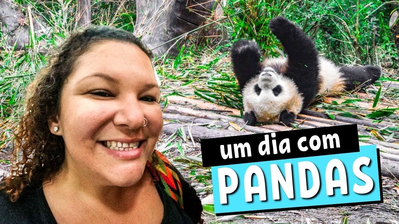 Passamos um dia com PANDAS GIGANTES na China [em Chengdu]