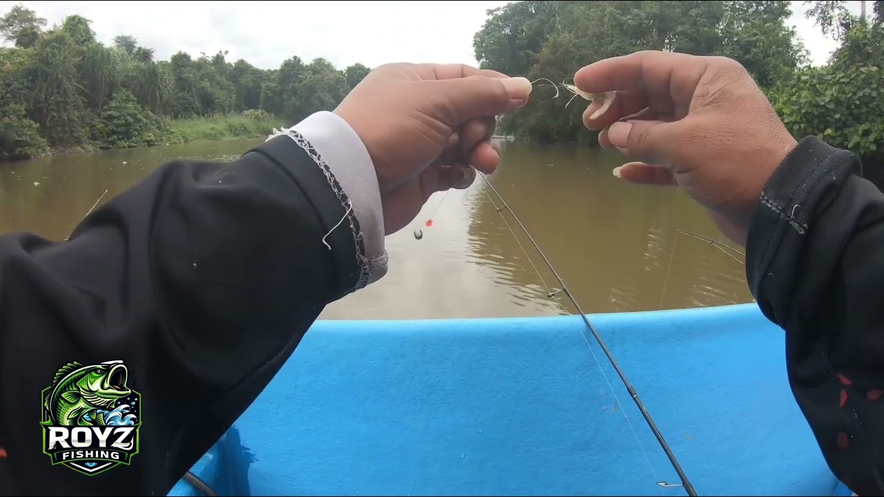 SOLO TRIP