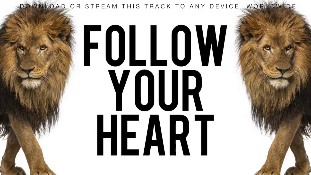 The Lion Attitude HEART OF A LION Motivational Video