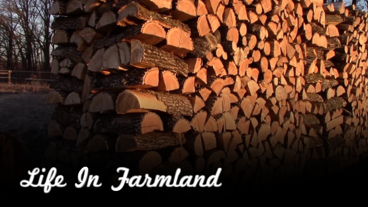5 helpful tips if you cut and heat with firewood