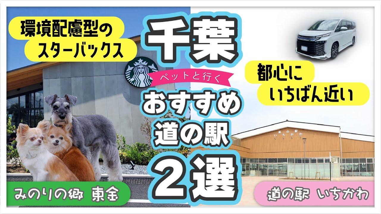 【道の駅探訪・２選】千葉ペットと行くおすすめ道の駅２選｜新型ヴォクシーでお出かけ【道の駅みのりの郷東金＆道の駅いちかわ】