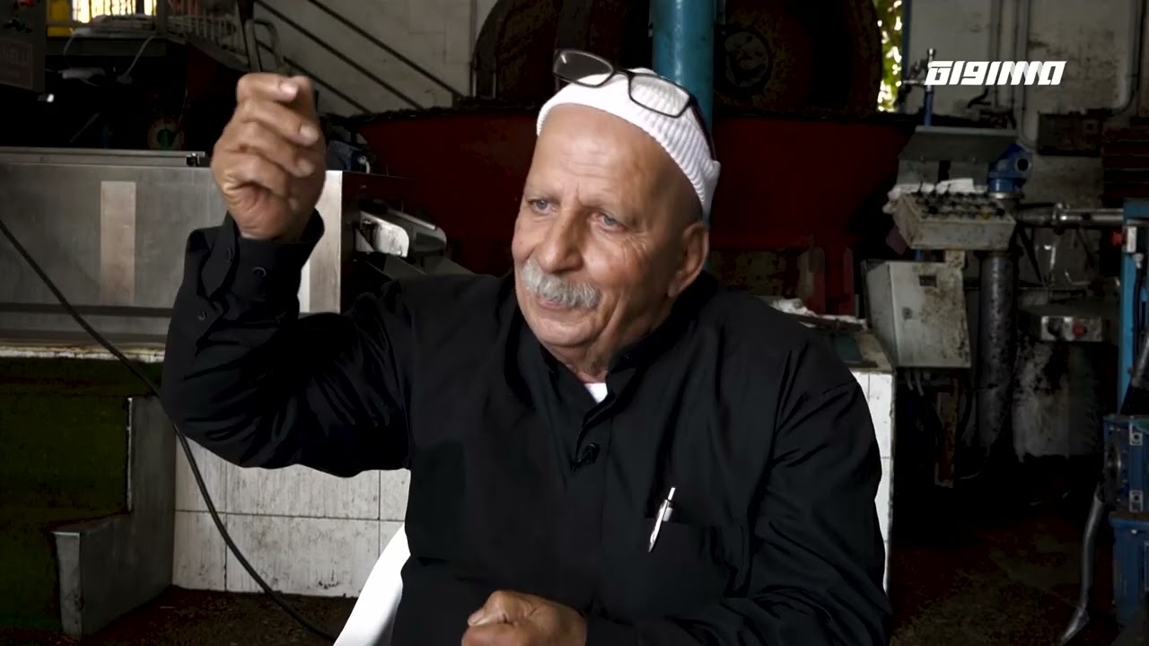 مراسلون مساواة : مراحل عصر الزيتون في معصرة يركا في الجليل