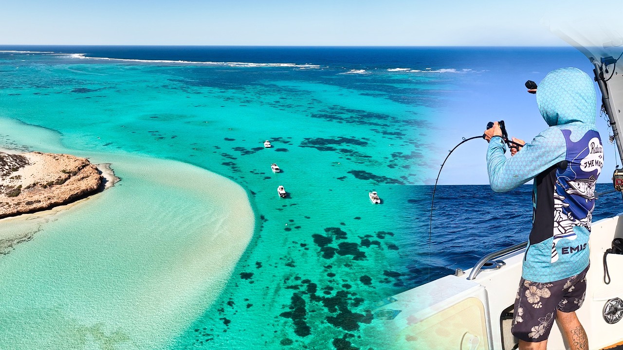 Finding Fish - Sounding Ground - Coral bay