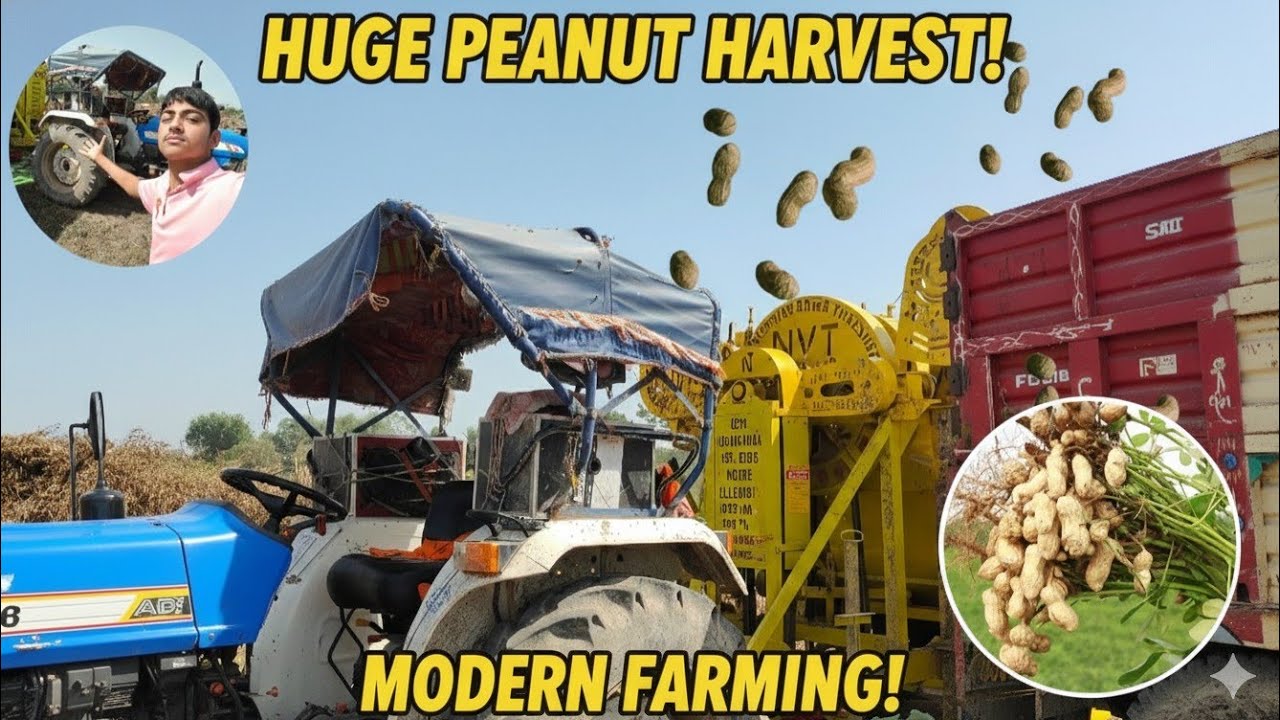 Finally moongfali nikal li 🥜🥜 #please subscribe like 
