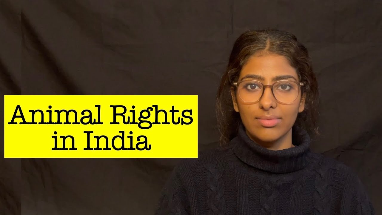 Animal Rights in India