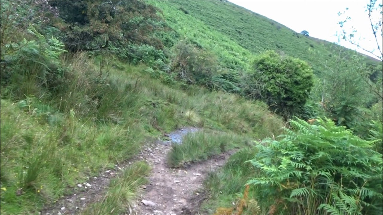 Holford Circular Walk To Bicknoller, Part X, EDITED,'Reflections As I descend Shepherd Combe' by She