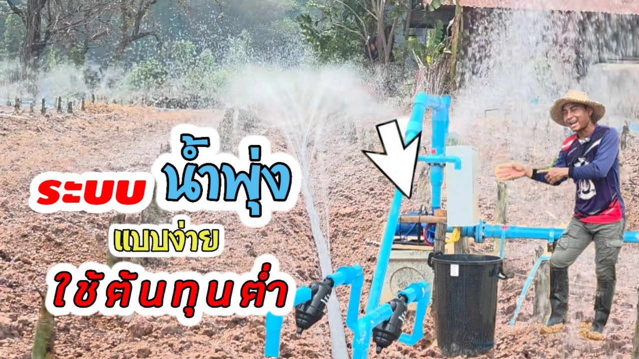 เทคนิคทำระบบน้ำพุ่งพื้นที่ 2ไร่ ใช้ต้นทุนต่ำ แถมทำตามได้ง่าย (ดูจบทำตามได้เลย)