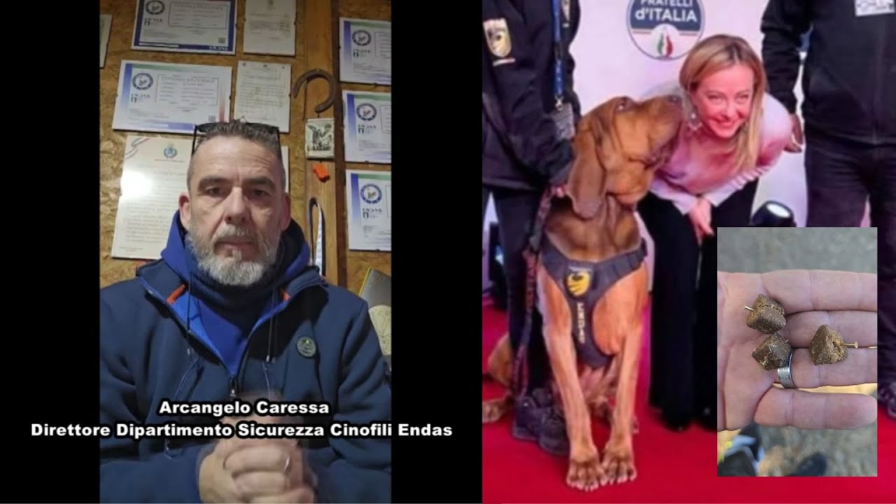 Morte del cane-eroe Bruno, l'istruttore indagato per reato simulato: 