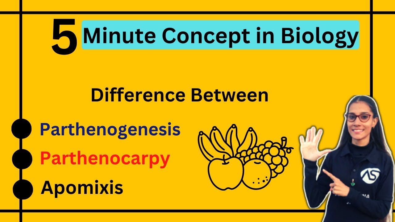 Difference between Parthenocarpy, Parthenogenesis and Apomixis ||#apnasapnajrf