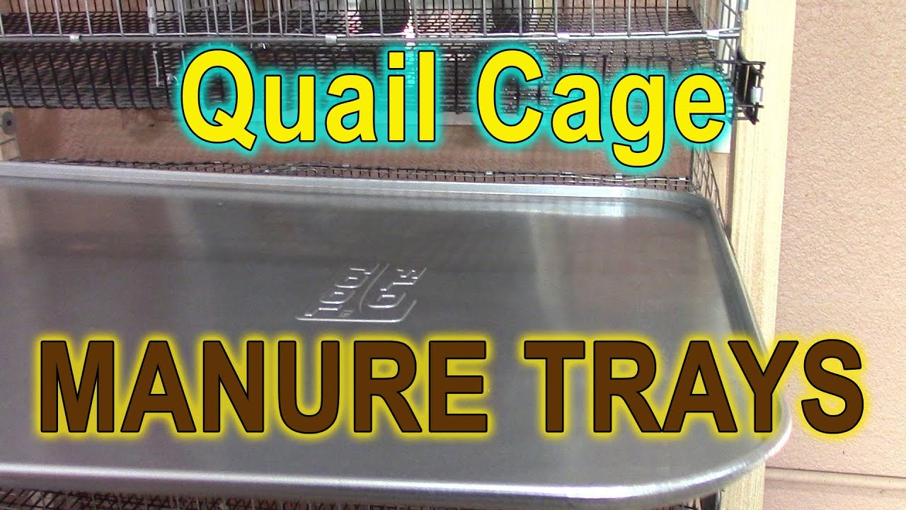 Quail Cage Manure Trays - Where To Find Them