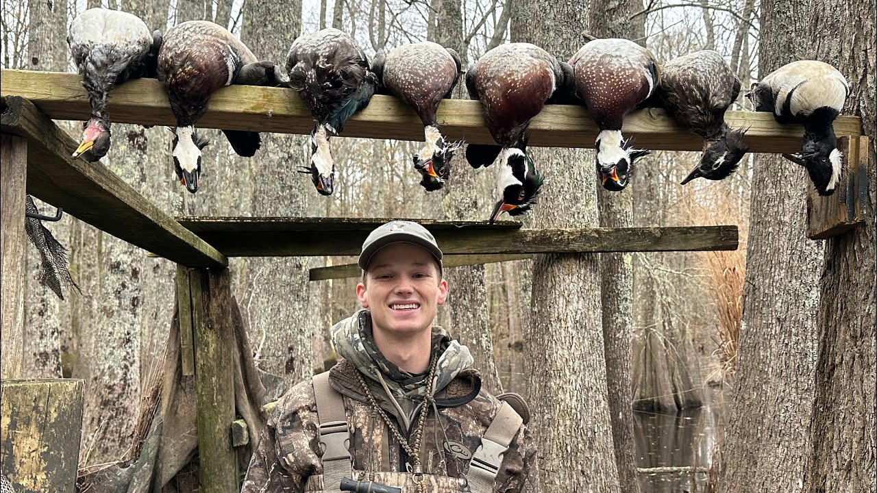 DUCKS EVERYWHERE | FLOODED TIMBER HUNTING