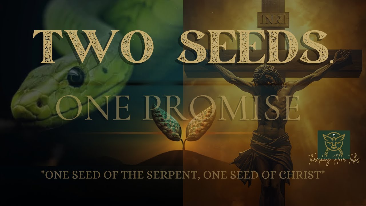 Two Seeds, One Promise