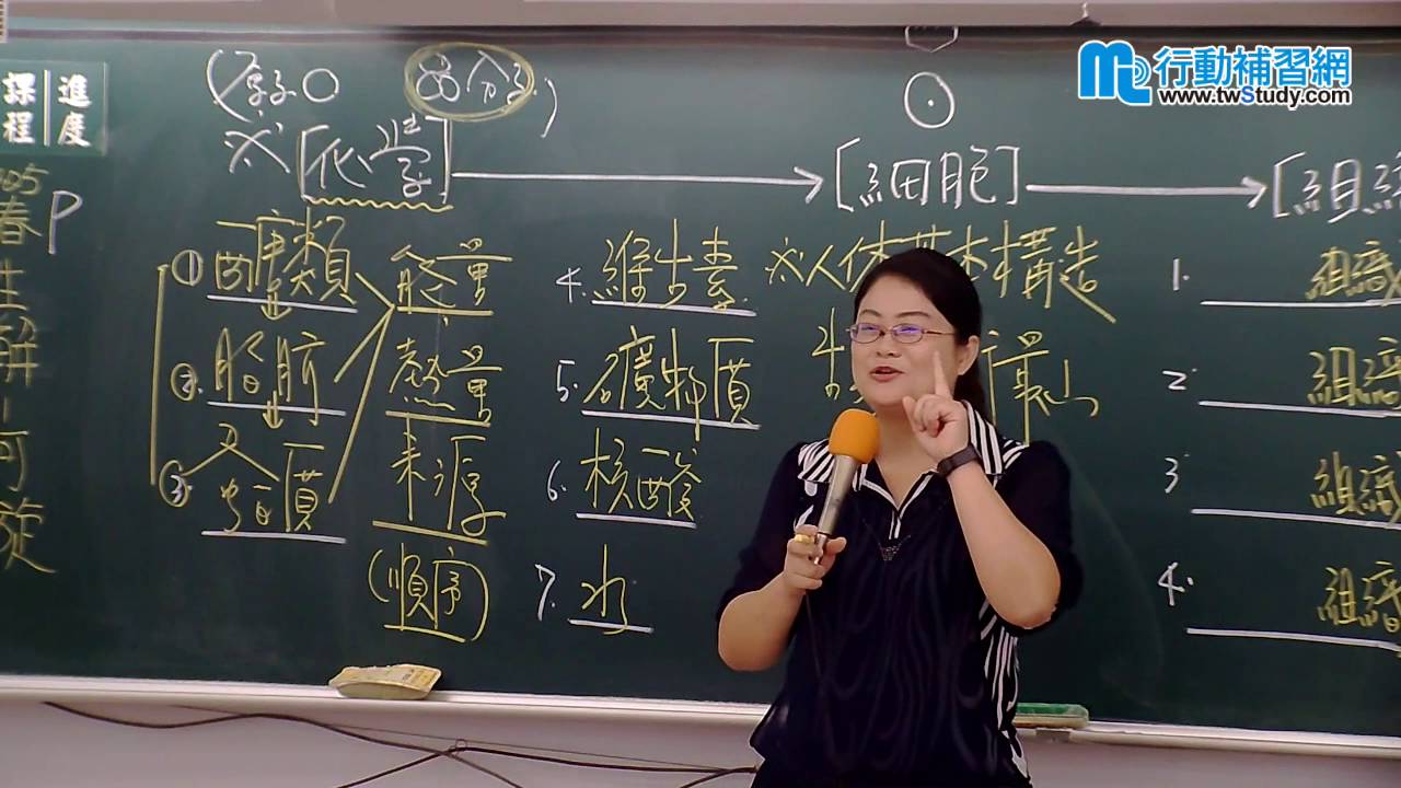 【行動補習網】《護理師》生理解剖學 - 何璇老師